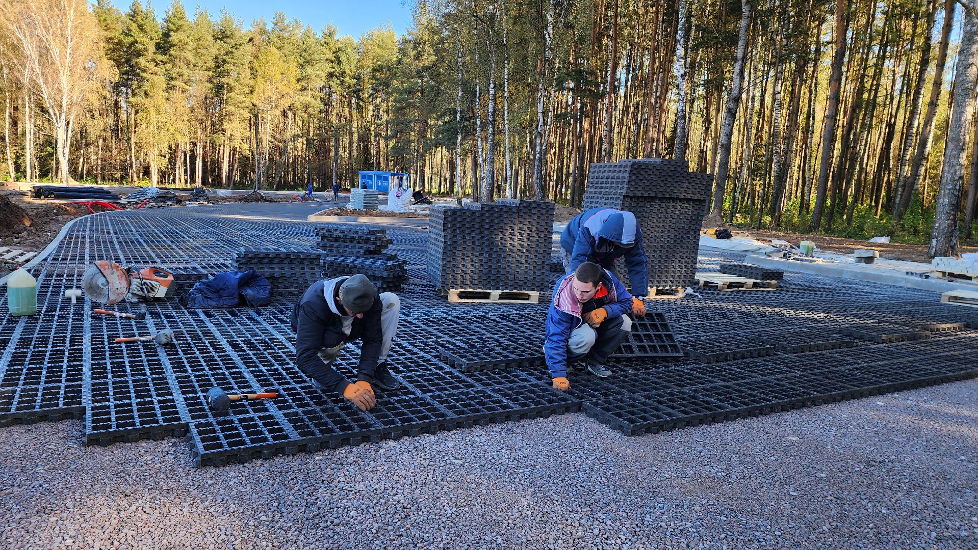 истра, благоустройство, лесопарк,