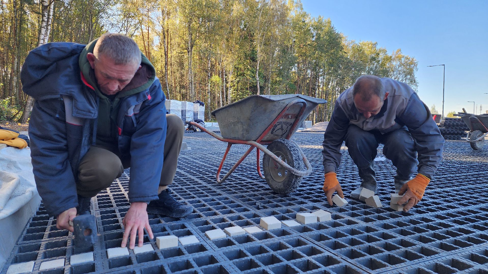 истра, благоустройство, лесопарк,