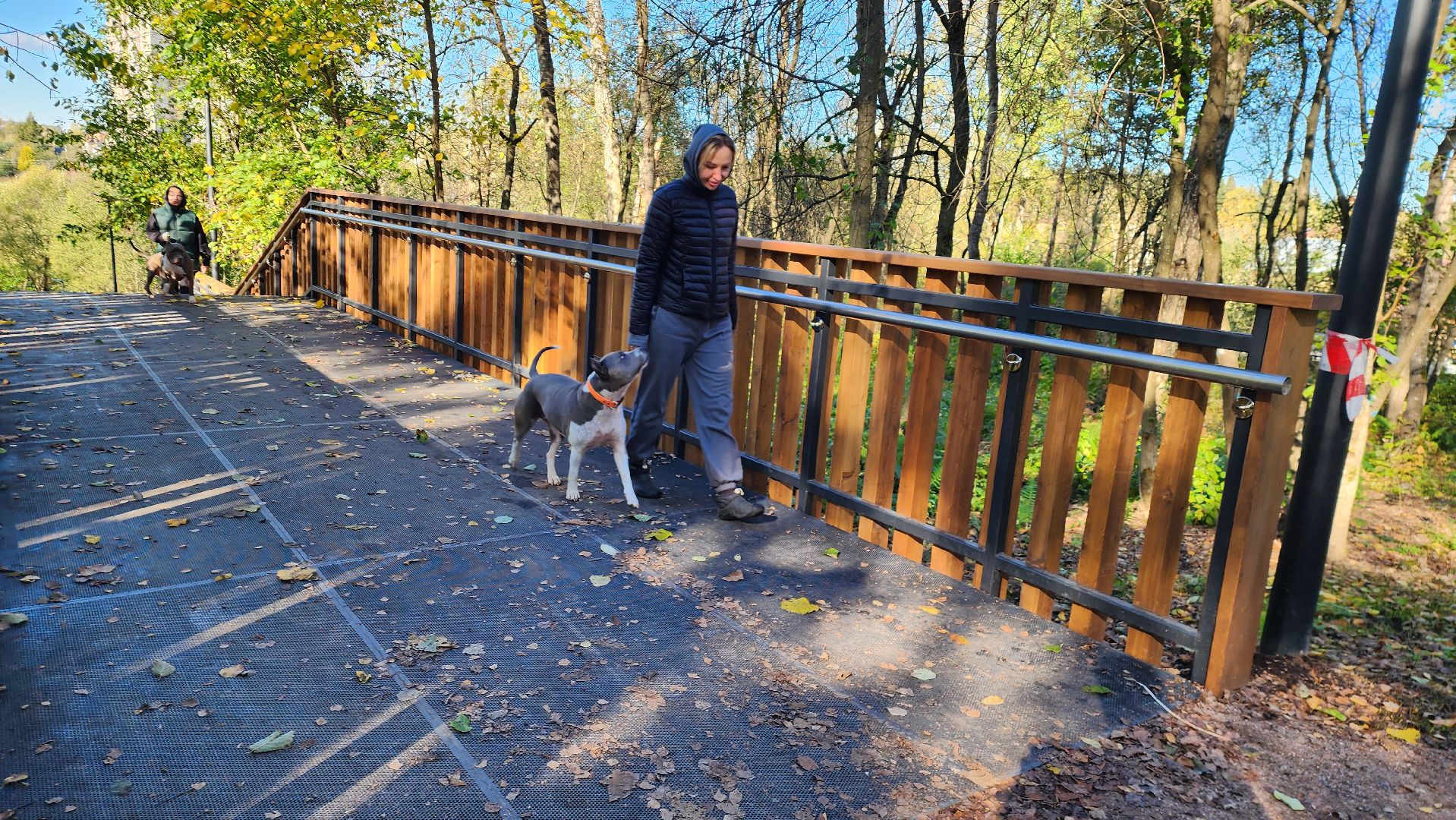 истра, благоустройство, лесопарк,