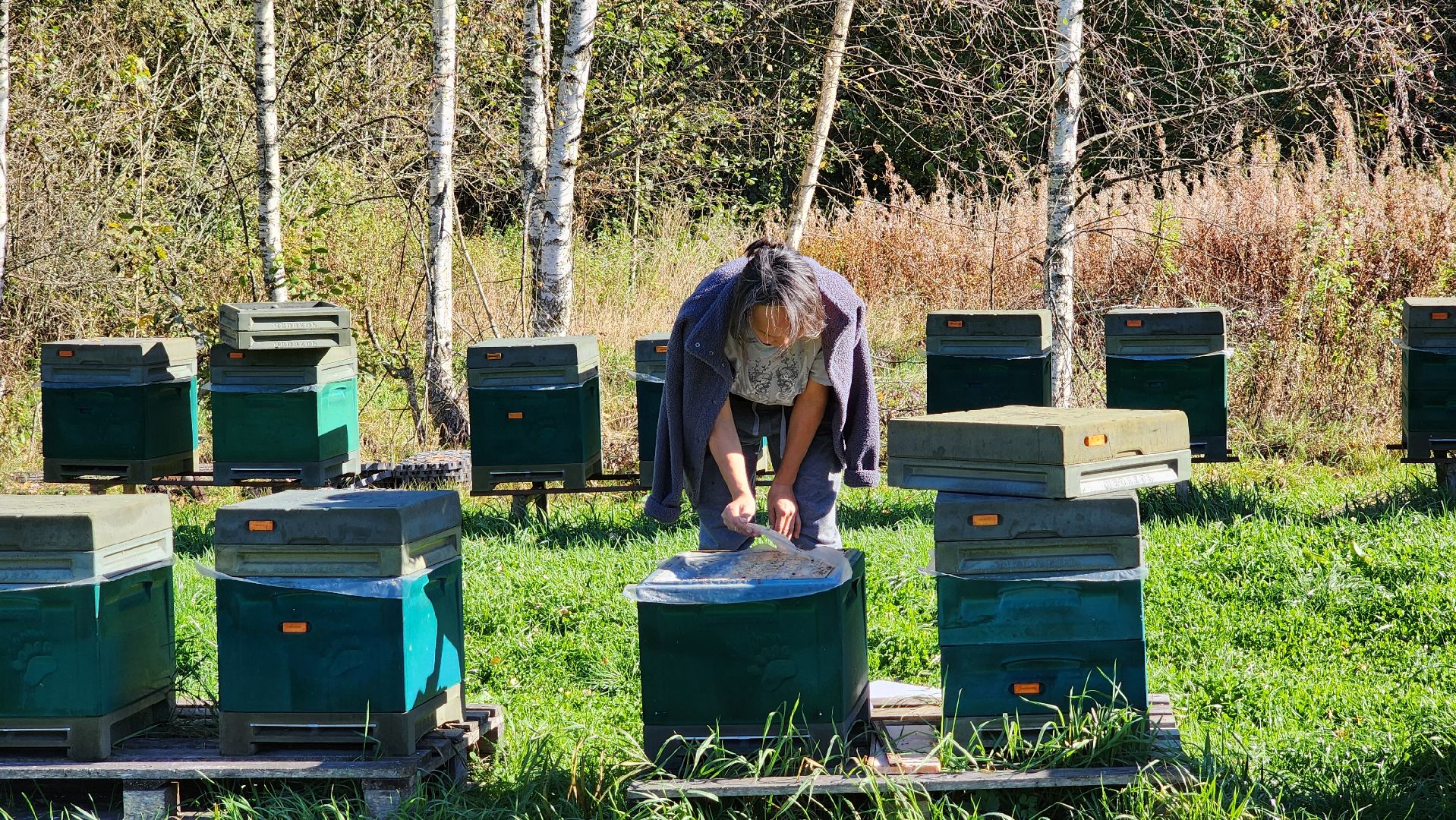 клин, пасека, пчеловод, агролидер, туризм, национальная премия ,