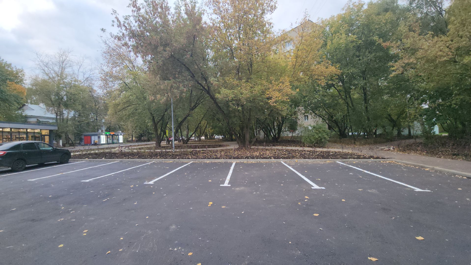 люберцы, новый сквер, глава люберец владимир волков, жители,