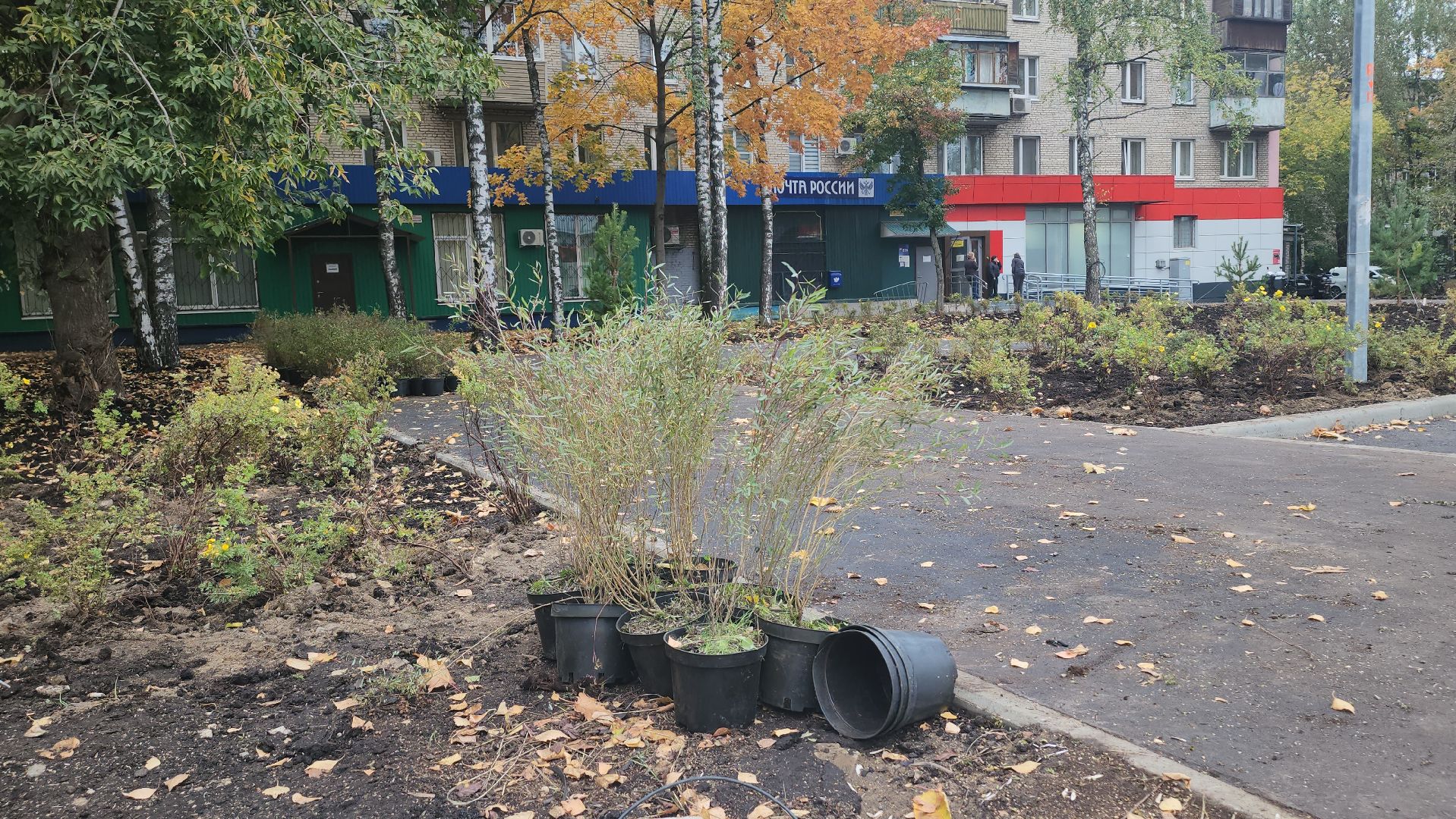 люберцы, новый сквер, глава люберец владимир волков, жители,