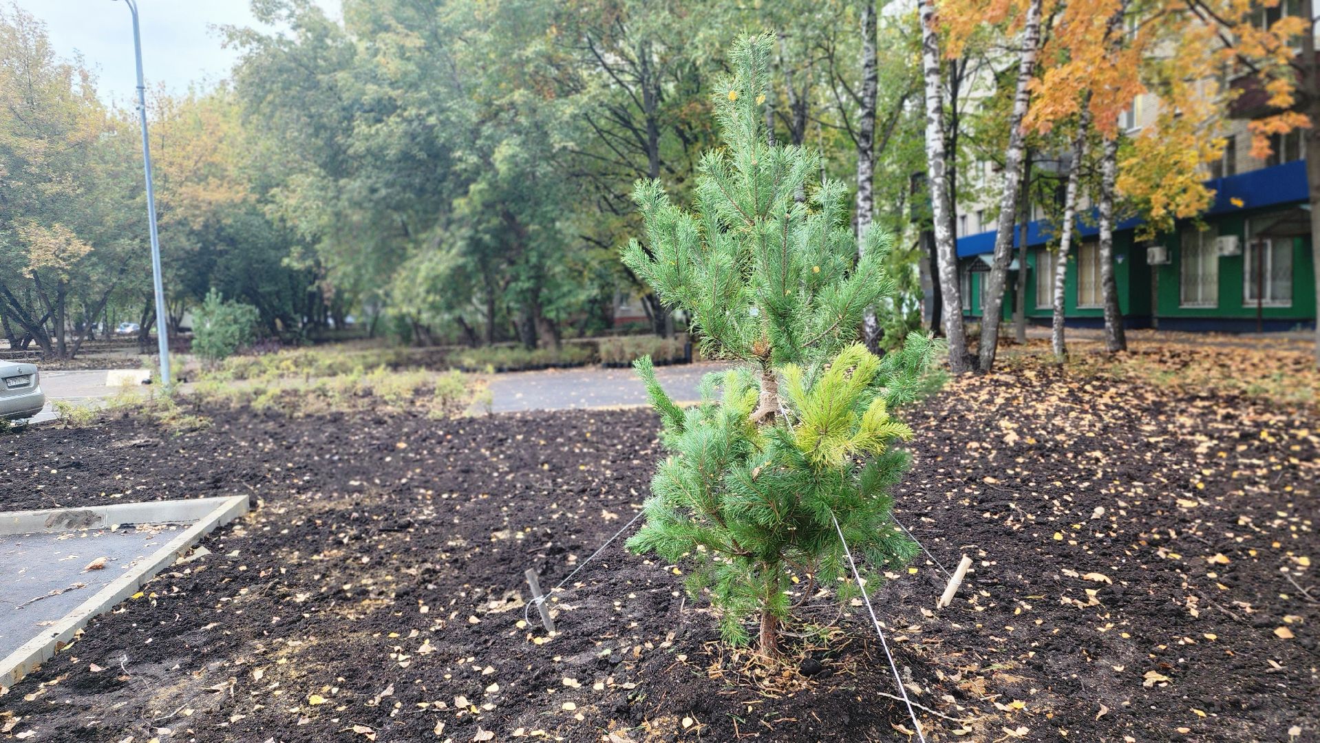 люберцы, новый сквер, глава люберец владимир волков, жители,