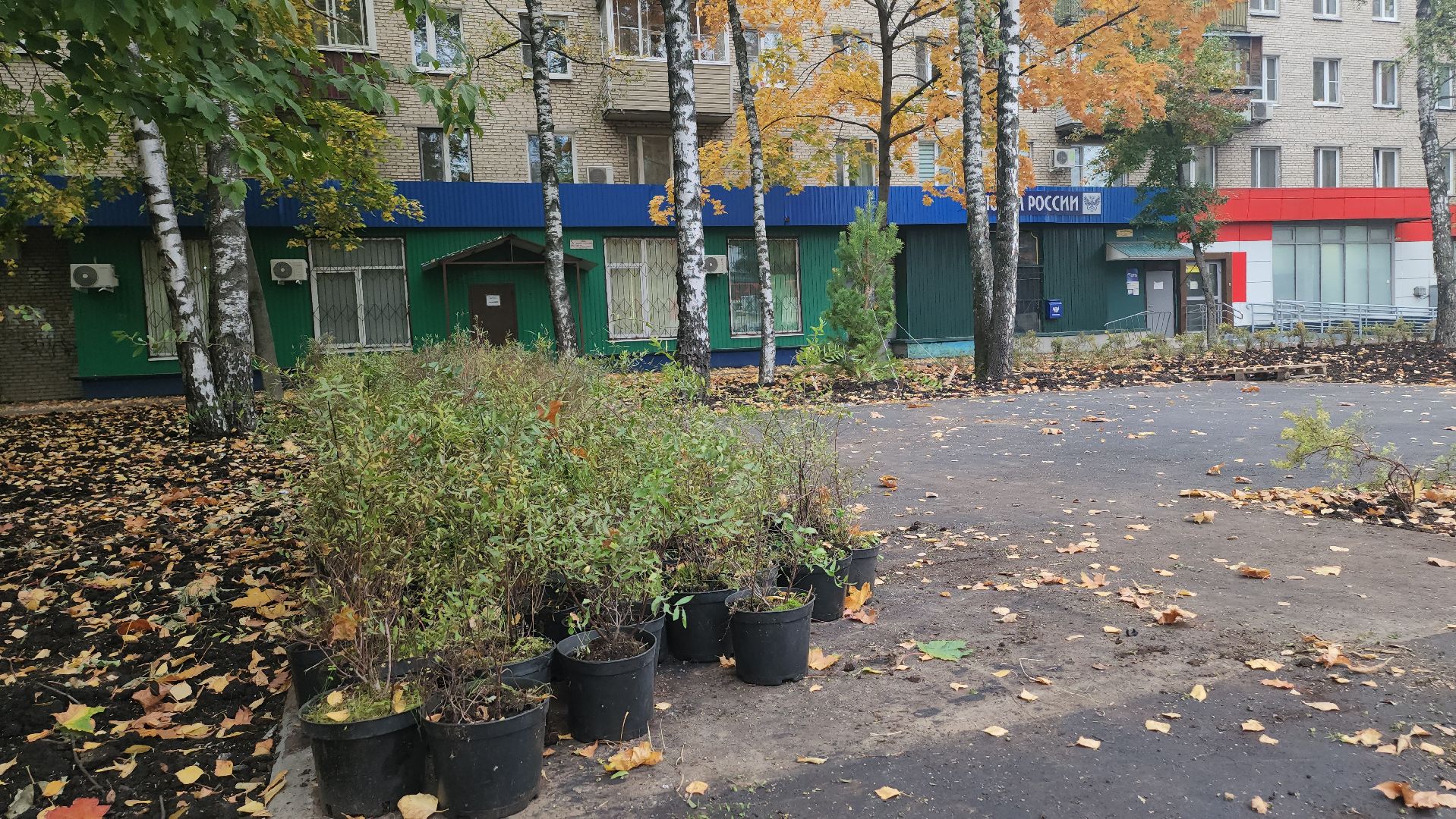 люберцы, новый сквер, глава люберец владимир волков, жители,