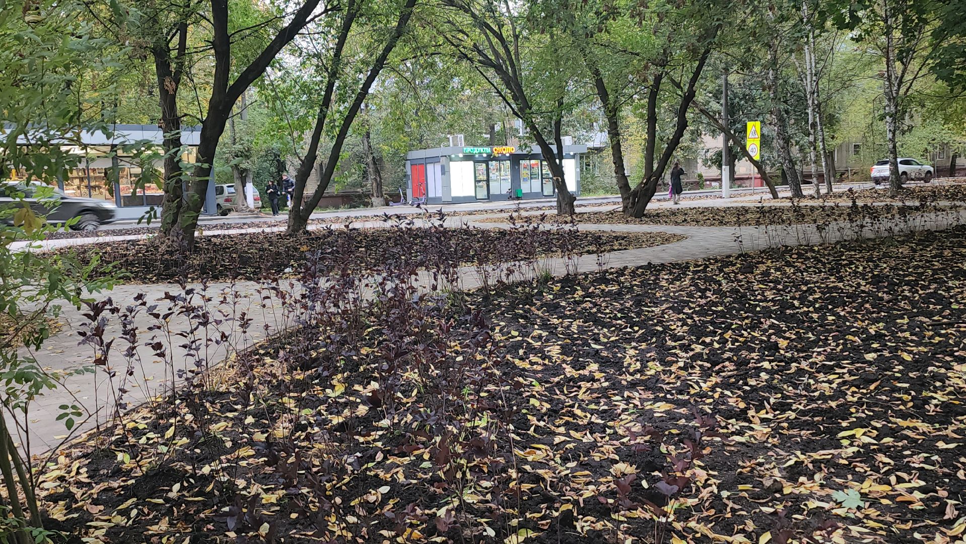 люберцы, новый сквер, глава люберец владимир волков, жители,