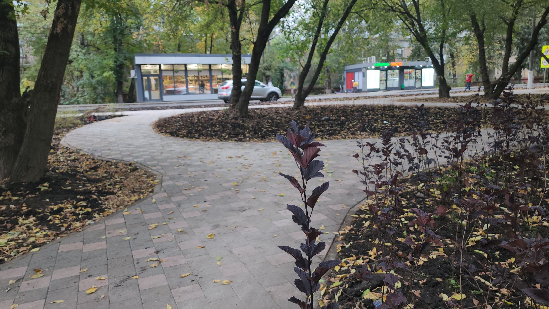 люберцы, новый сквер, глава люберец владимир волков, жители,