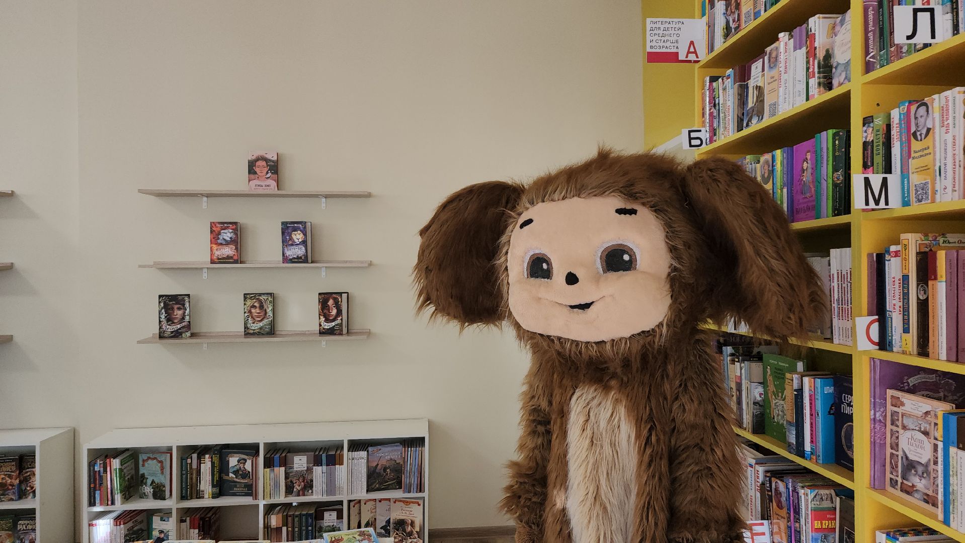 луховицы, библиотека , открытие библиотеки,