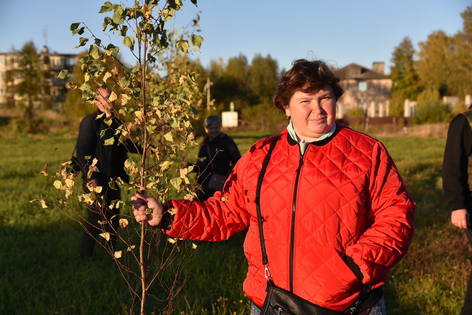 лотошино, кировский, сво, высадка деревьев,