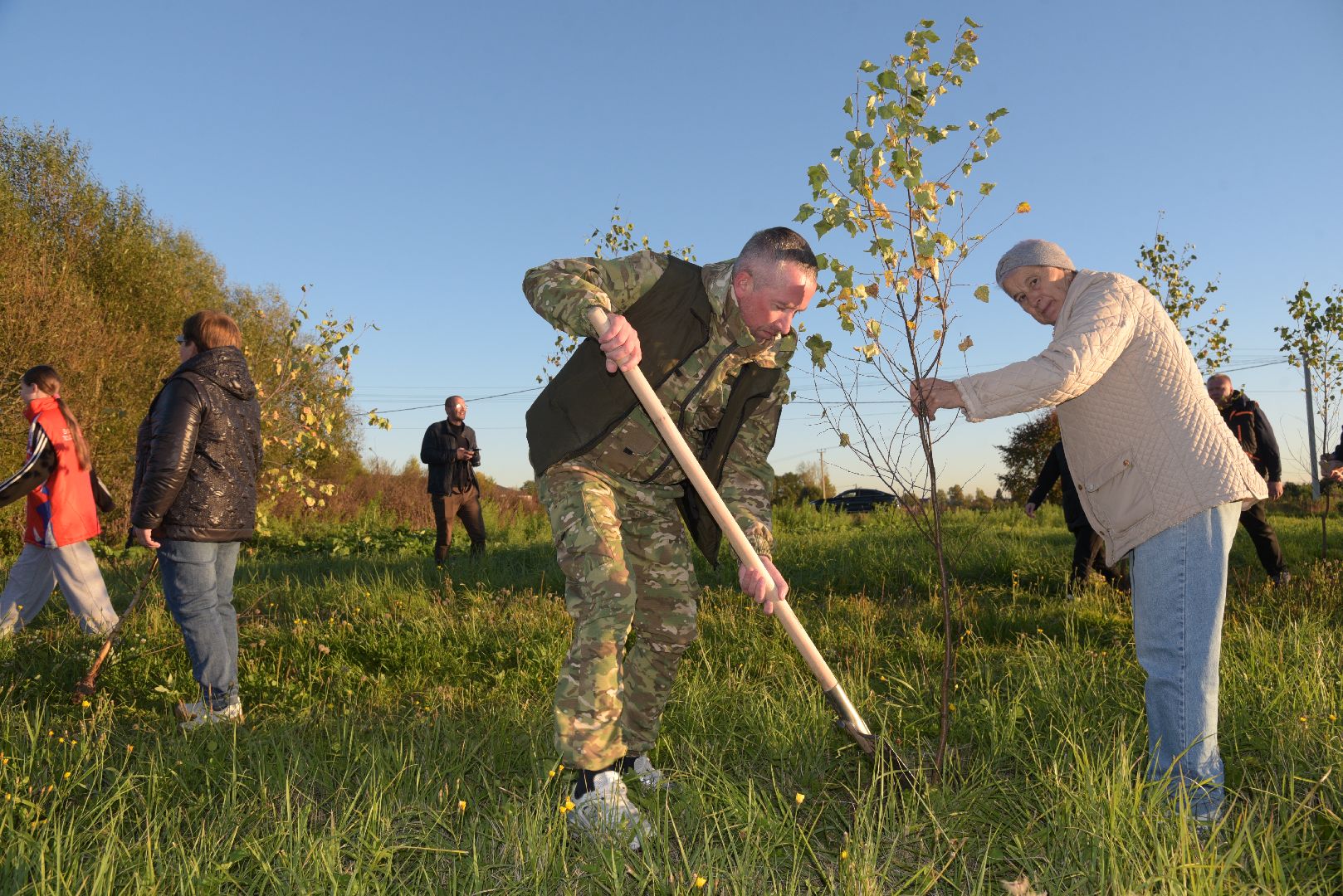 лотошино, кировский, сво, высадка деревьев,