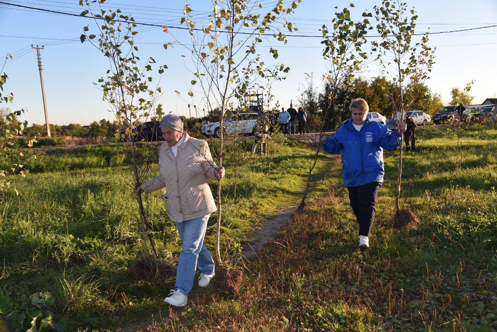 лотошино, кировский, сво, высадка деревьев,