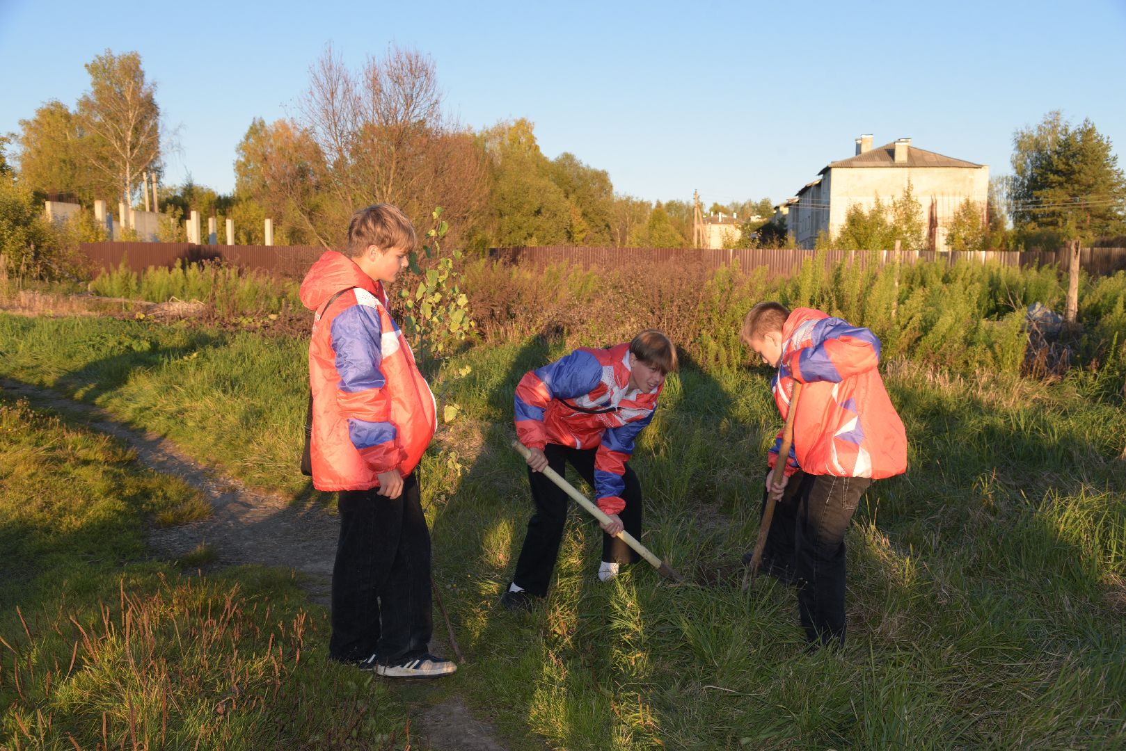 лотошино, кировский, сво, высадка деревьев,
