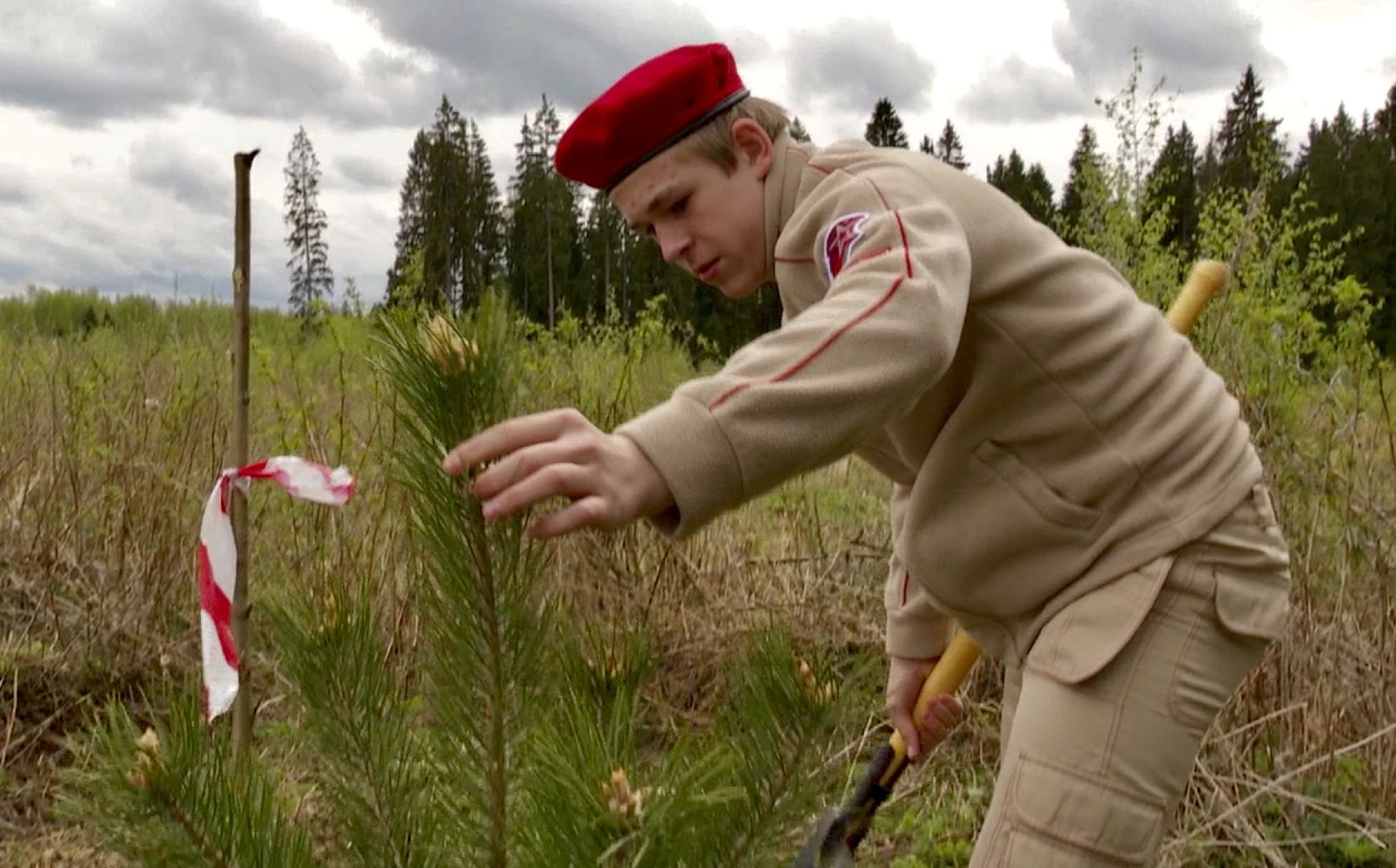 Клин, благоустройство, перемены, лес победы