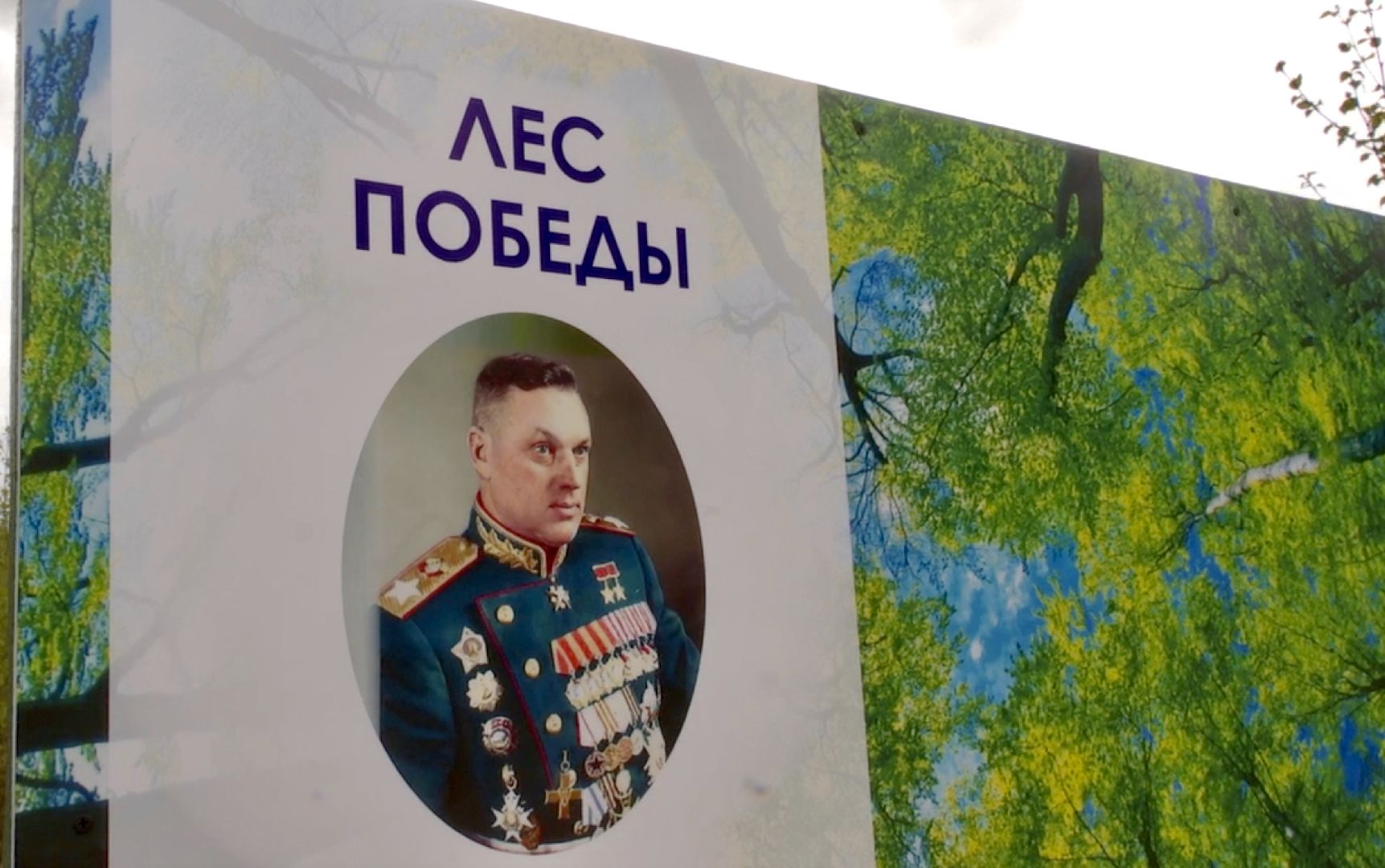 Клин, благоустройство, перемены, лес победы