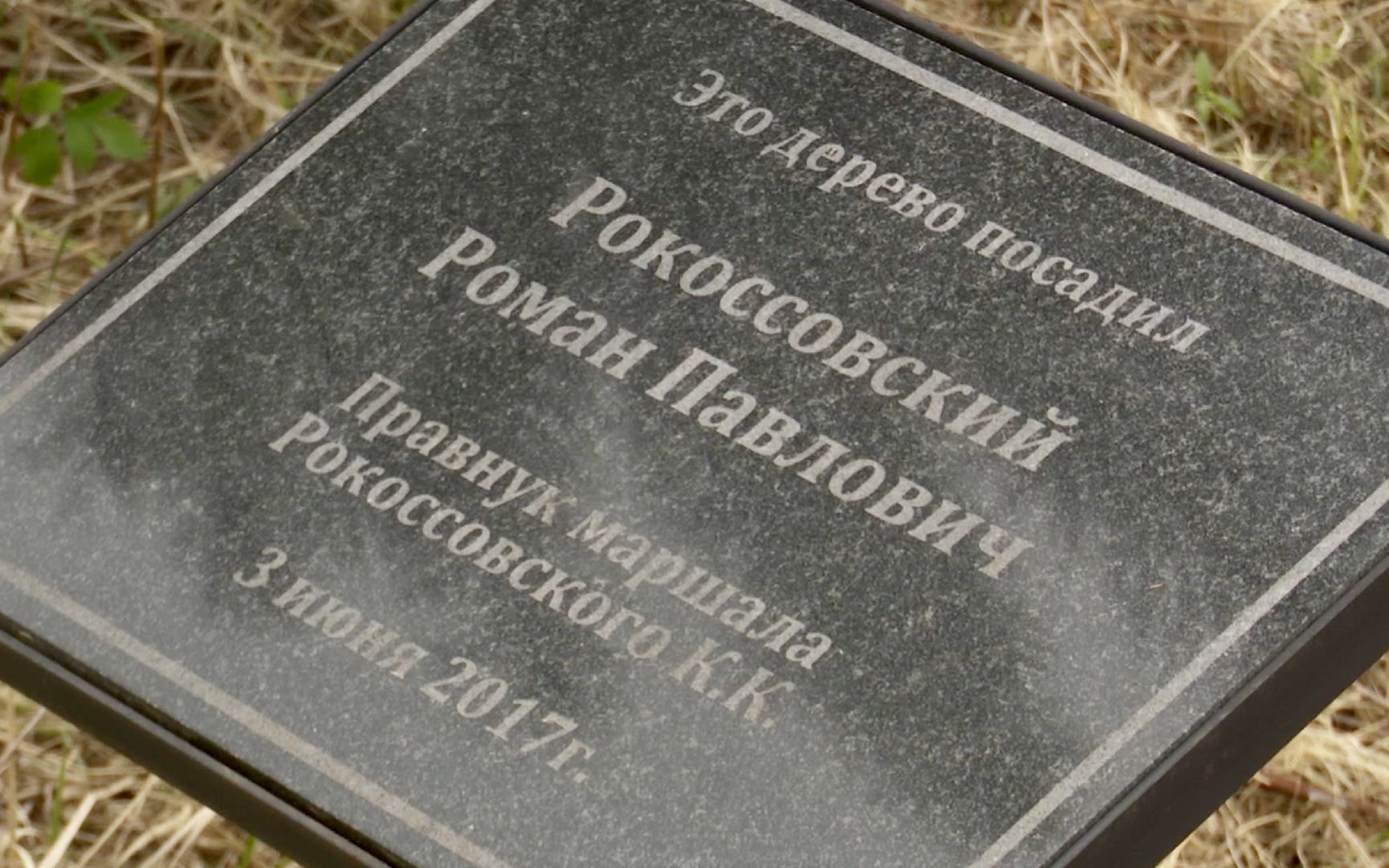 Клин, благоустройство, перемены, лес победы