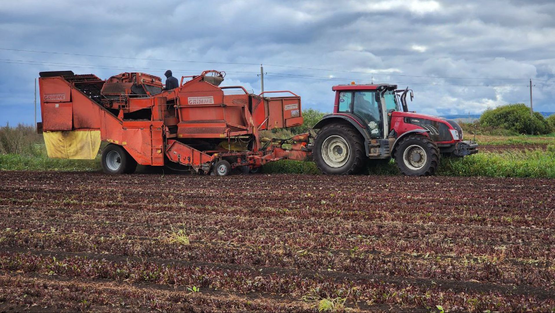 Дмитров, ЗАО Куликово, Уборочная кампания, Минсельхоз,