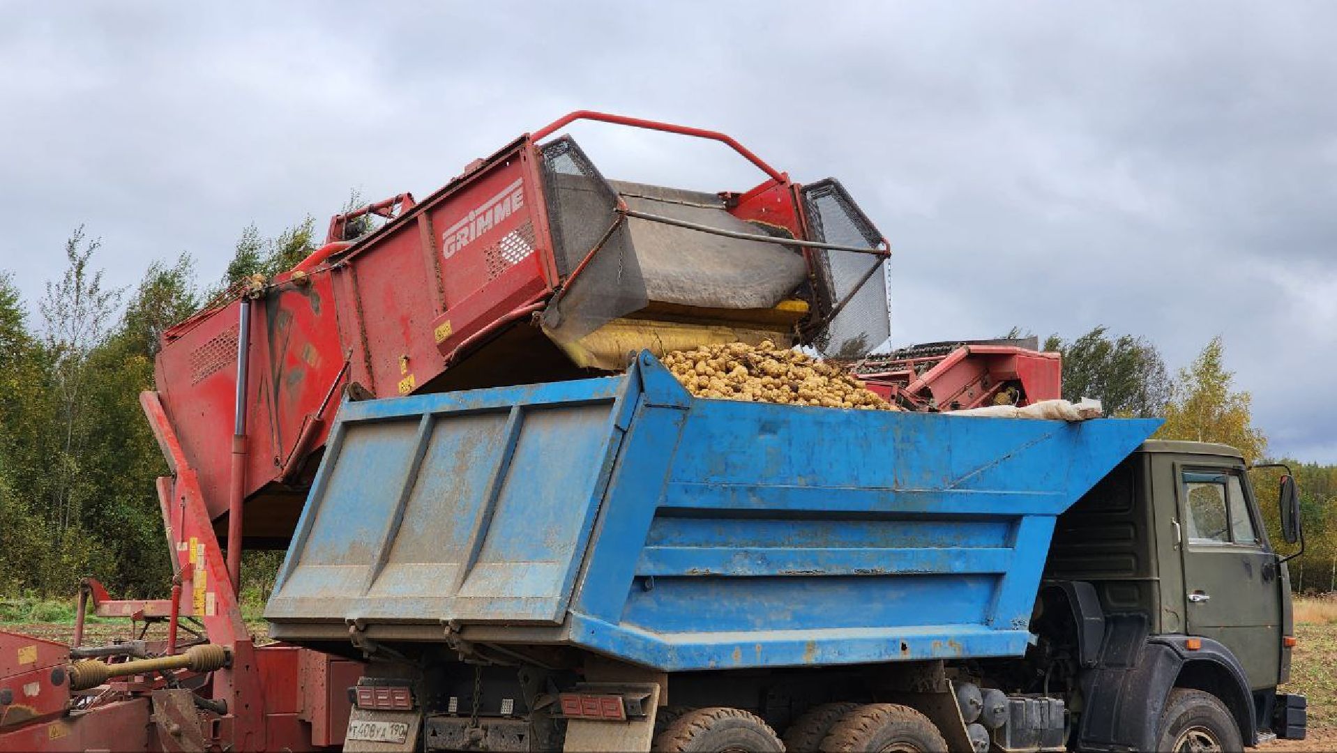 Дмитров, ЗАО Куликово, Уборочная кампания, Минсельхоз,