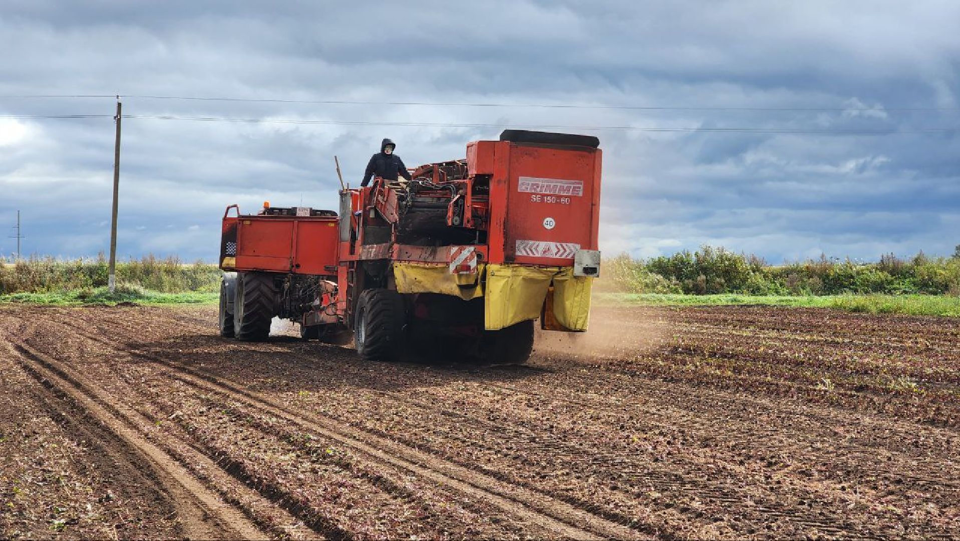Дмитров, ЗАО Куликово, Уборочная кампания, Минсельхоз,