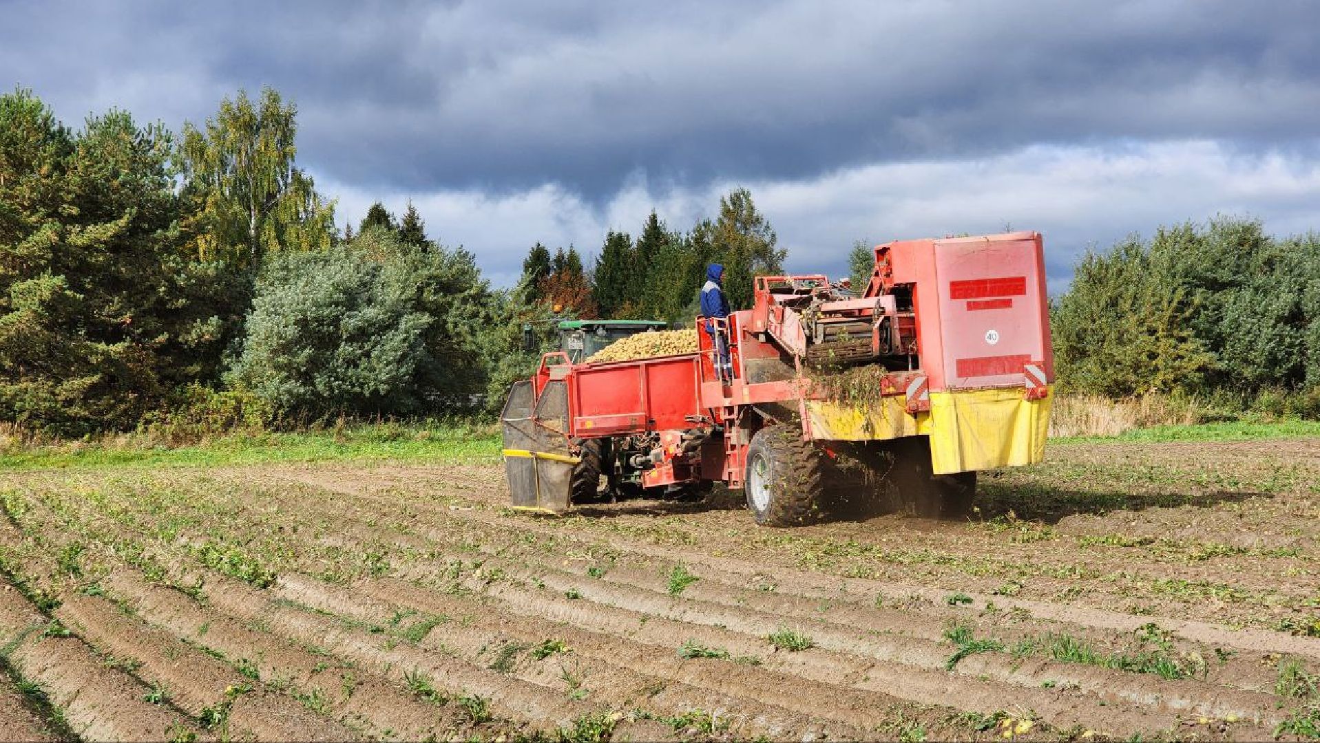 Дмитров, ЗАО Куликово, Уборочная кампания, Минсельхоз,