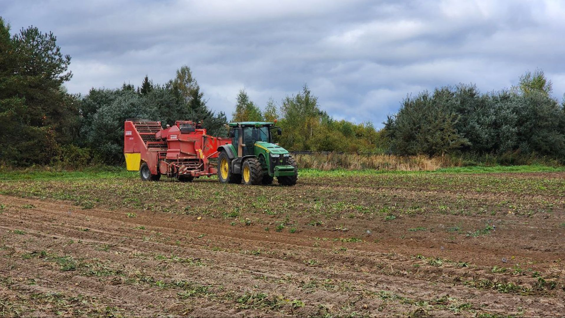 Дмитров, ЗАО Куликово, Уборочная кампания, Минсельхоз,