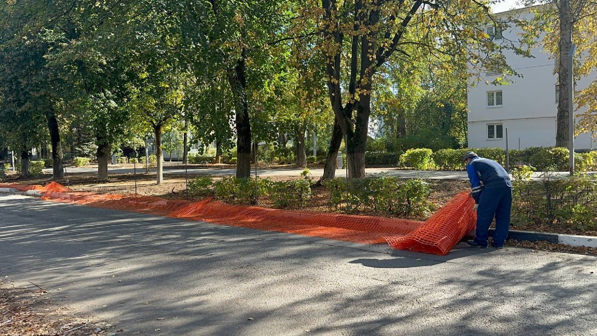 благоустойство, домодедово, сквер,