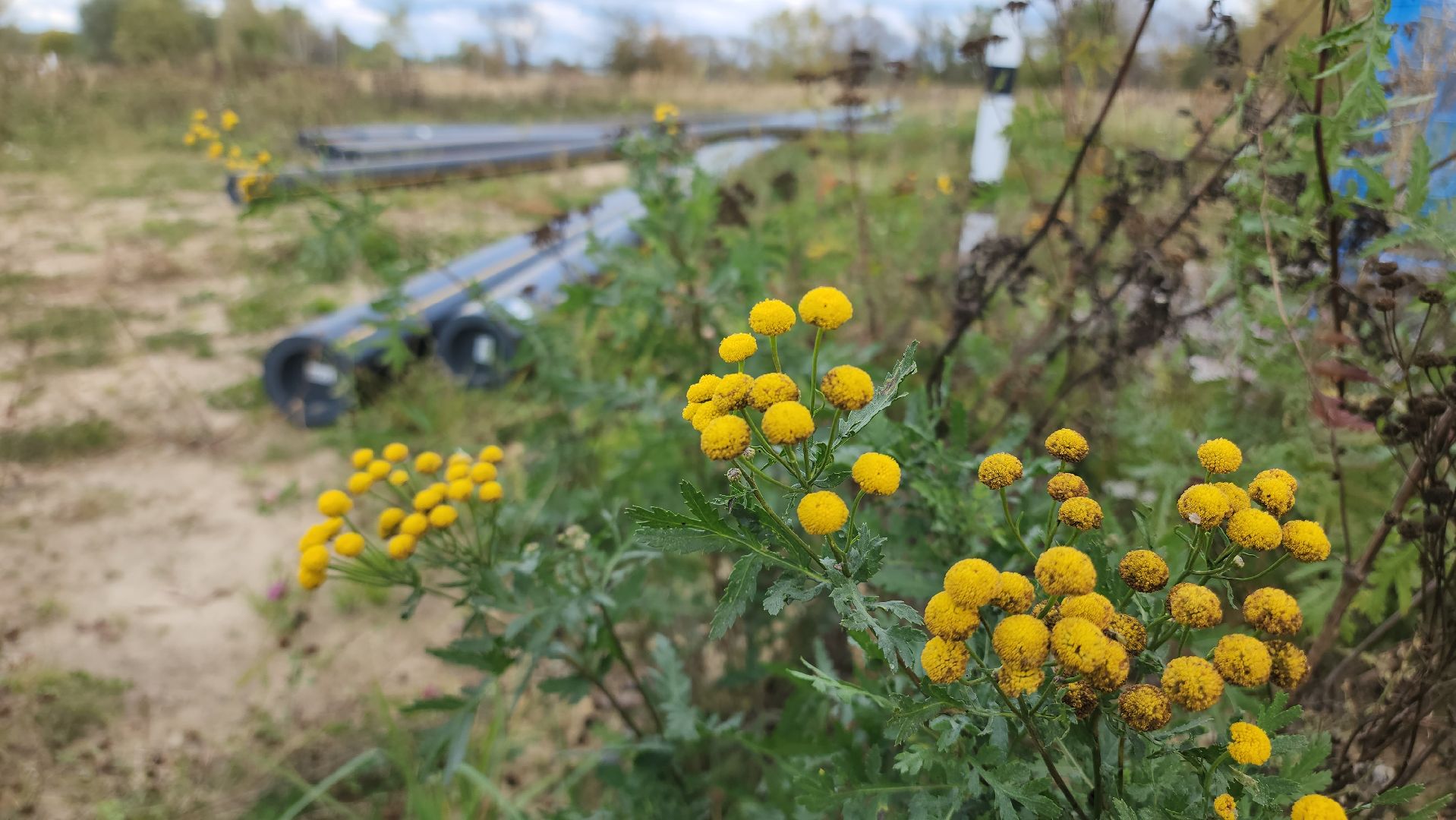 Егорьевск , Подмосковье , Московская область , социальная газификация,
