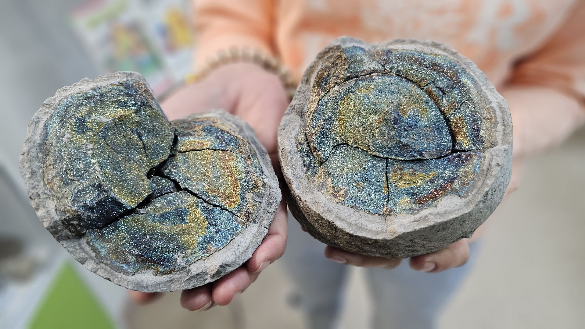 минералы, минералогия, библиотека, жуковский,