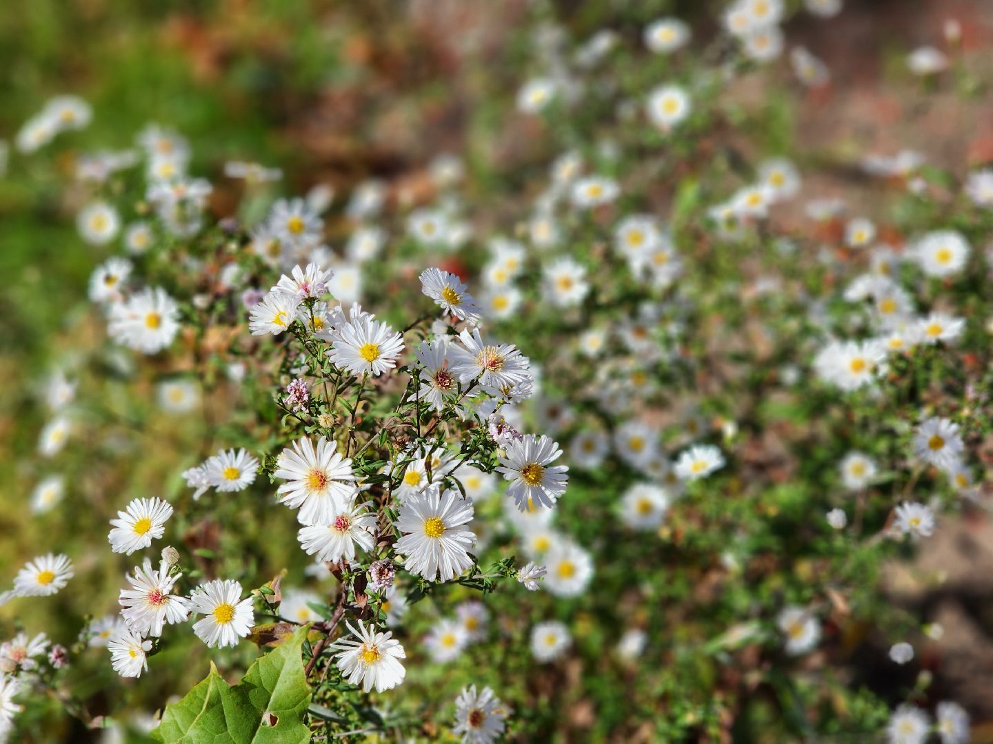 программа благоустройства, детская игровая площадка, благоустройство, старая купавна, богородский городской округ,