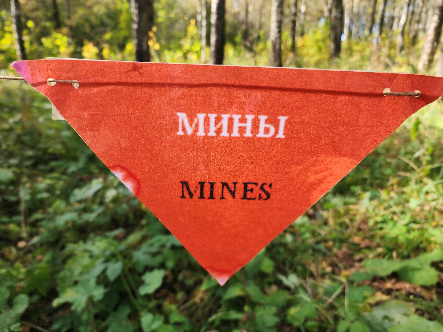 солнечногорск, молодежь , патриотизм, спорт,