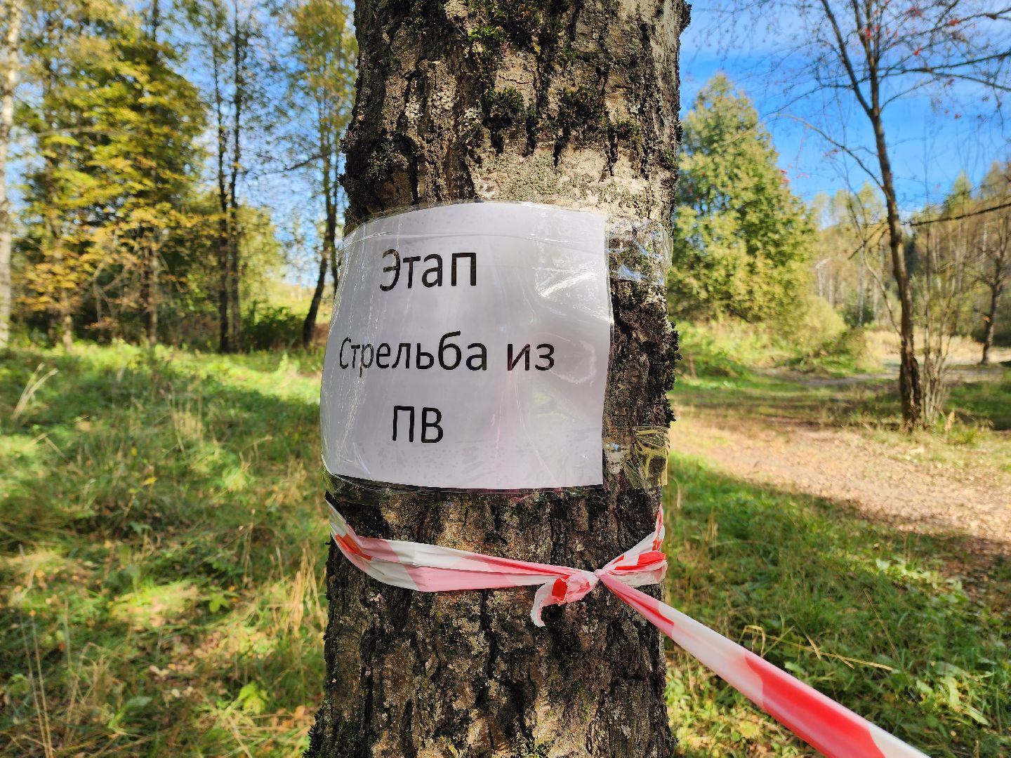 солнечногорск, молодежь , патриотизм, спорт,