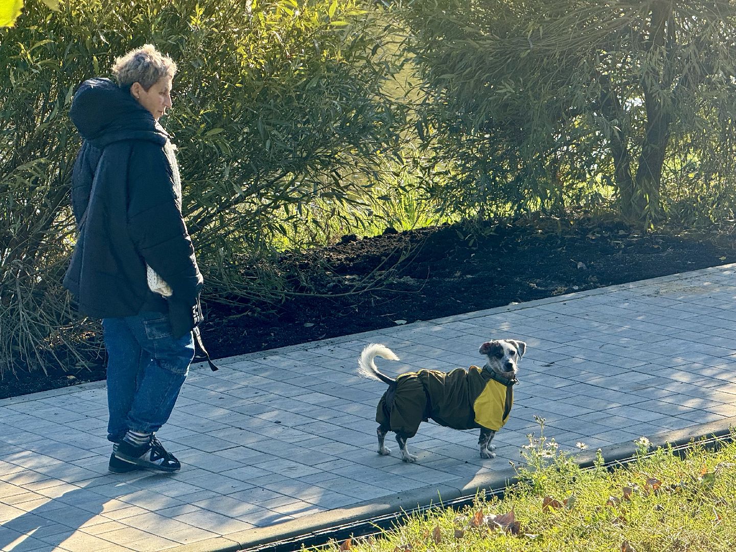 набережная , благоустройство сквера ,  ленинский городской округ,