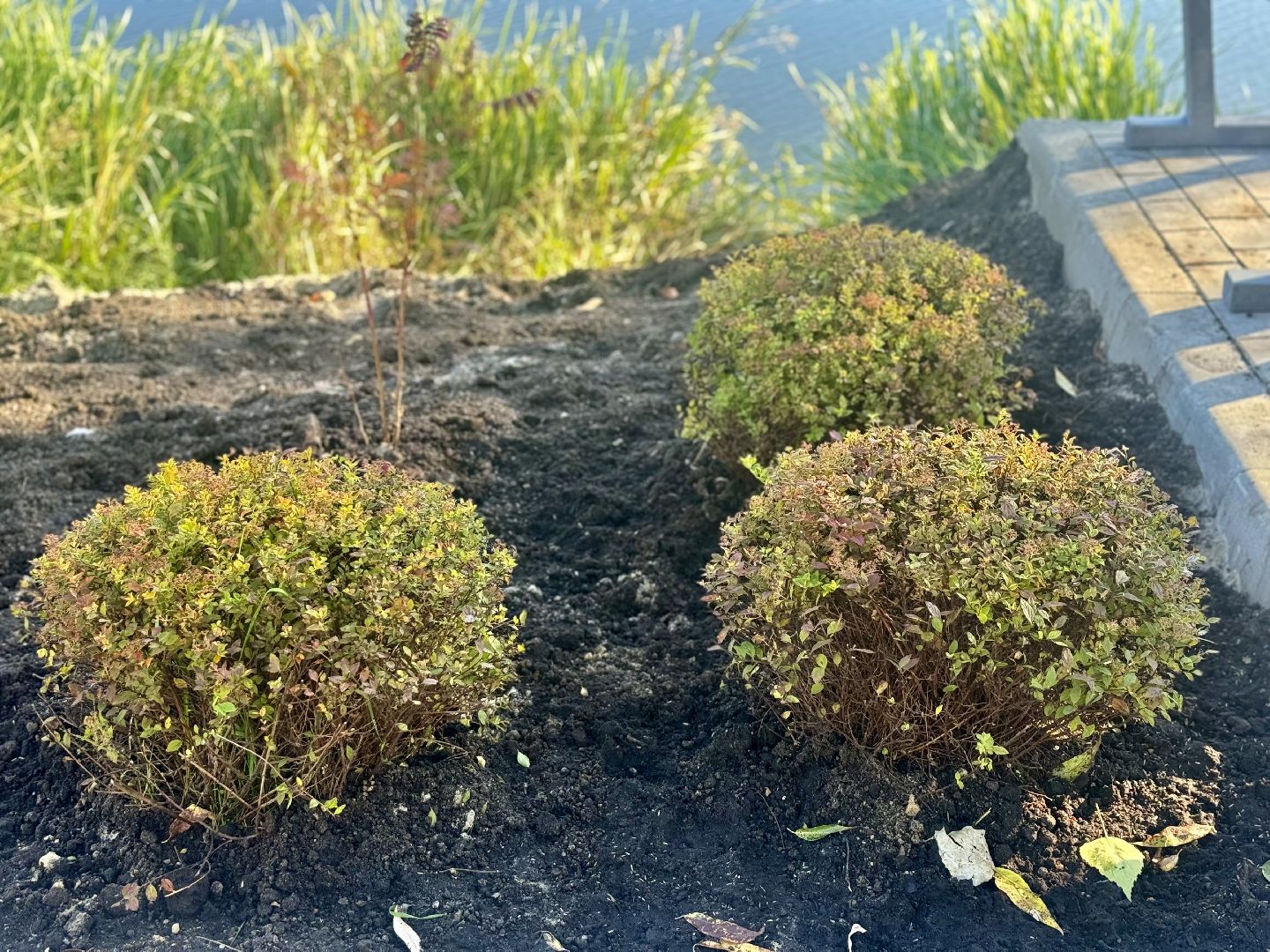 набережная , благоустройство сквера ,  ленинский городской округ,