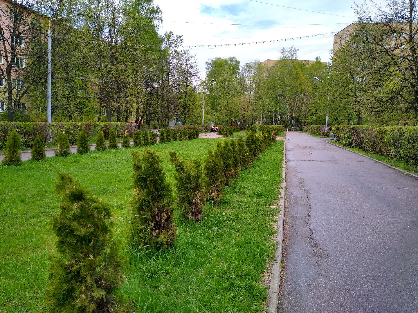 Раменское, благоустройство, голосование, бульвар космонавтов