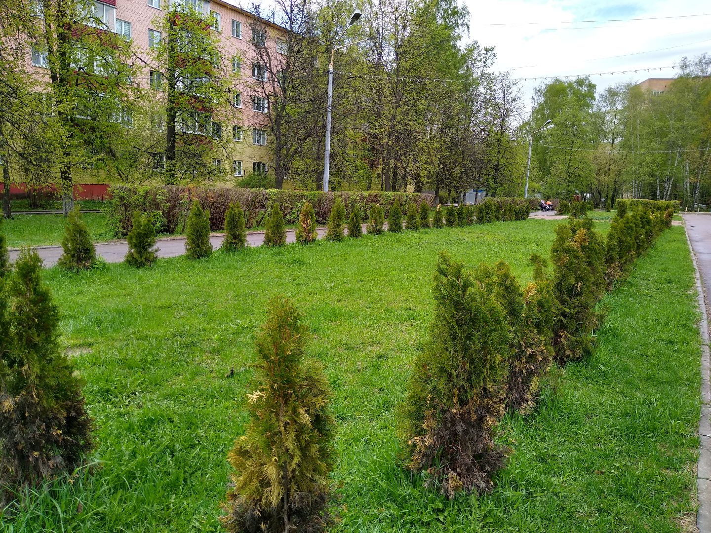 Раменское, благоустройство, голосование, бульвар космонавтов