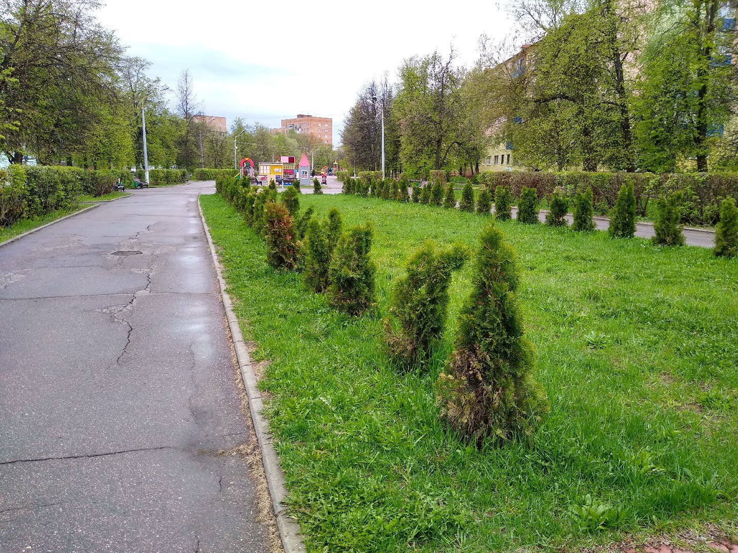 Раменское, благоустройство, голосование, бульвар космонавтов