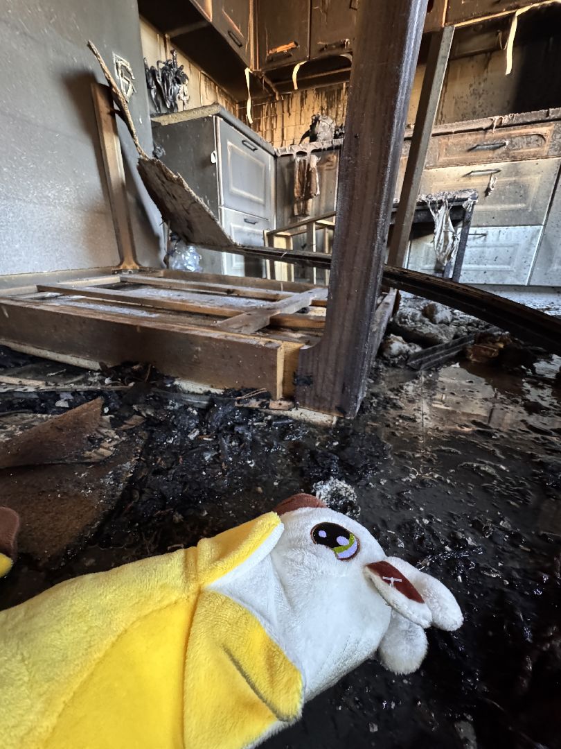 Пожар в Одинцово, Пострадавших нет, Все сгорело,