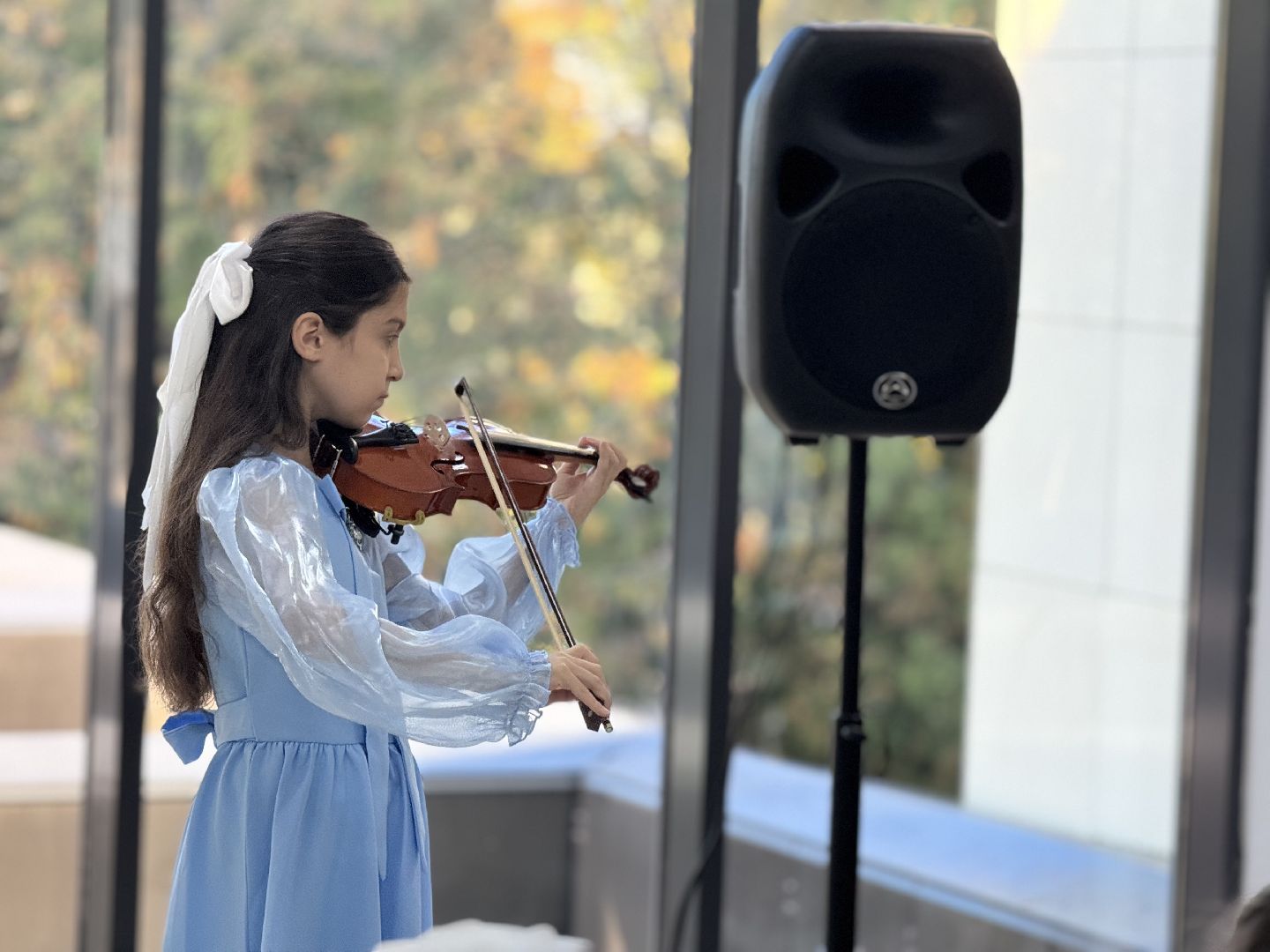 шаховская, школа искусств, школа искусств шаховская, международный день музыки, музей,