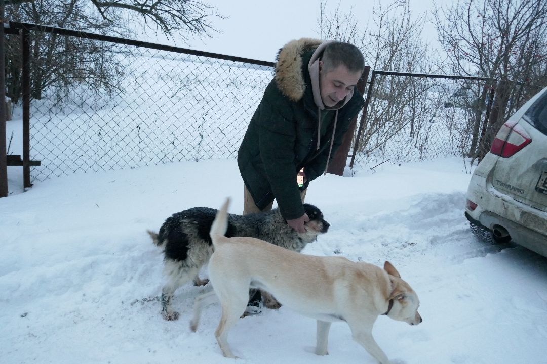 Благотворительность, Подольск, животные, помощь, добро