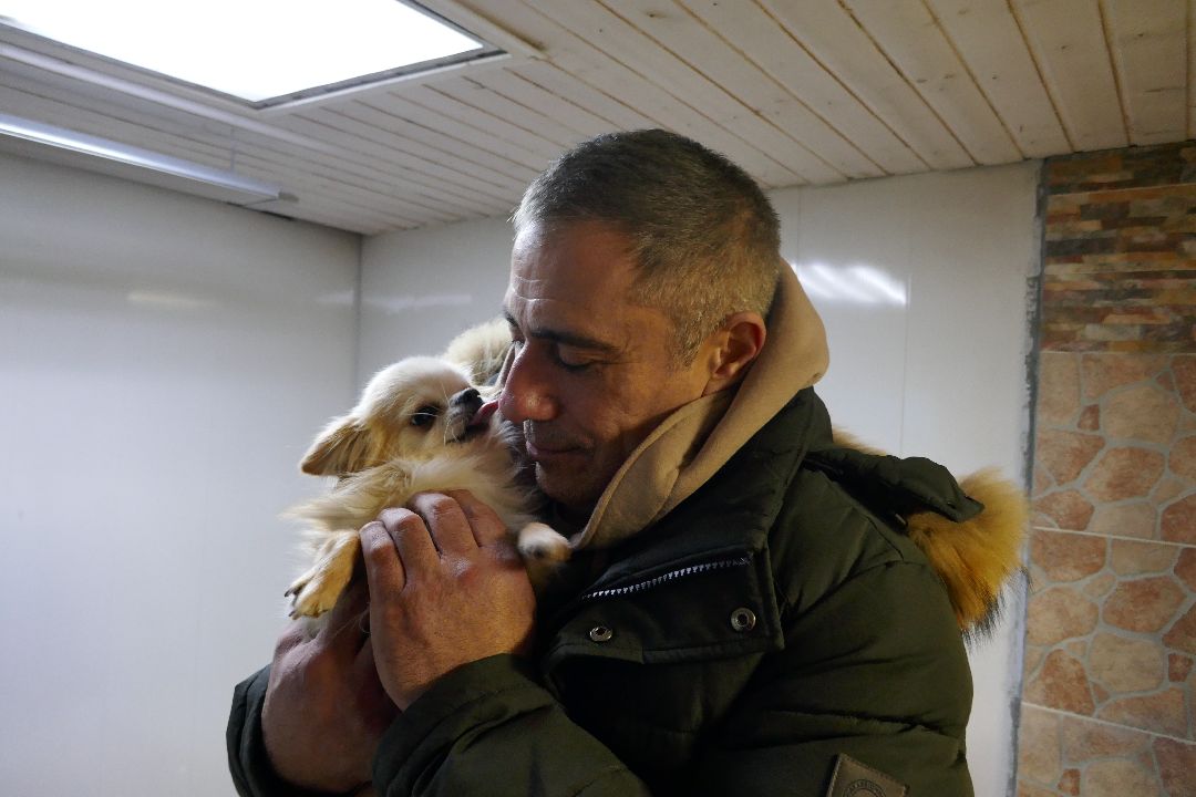 Благотворительность, Подольск, животные, помощь, добро