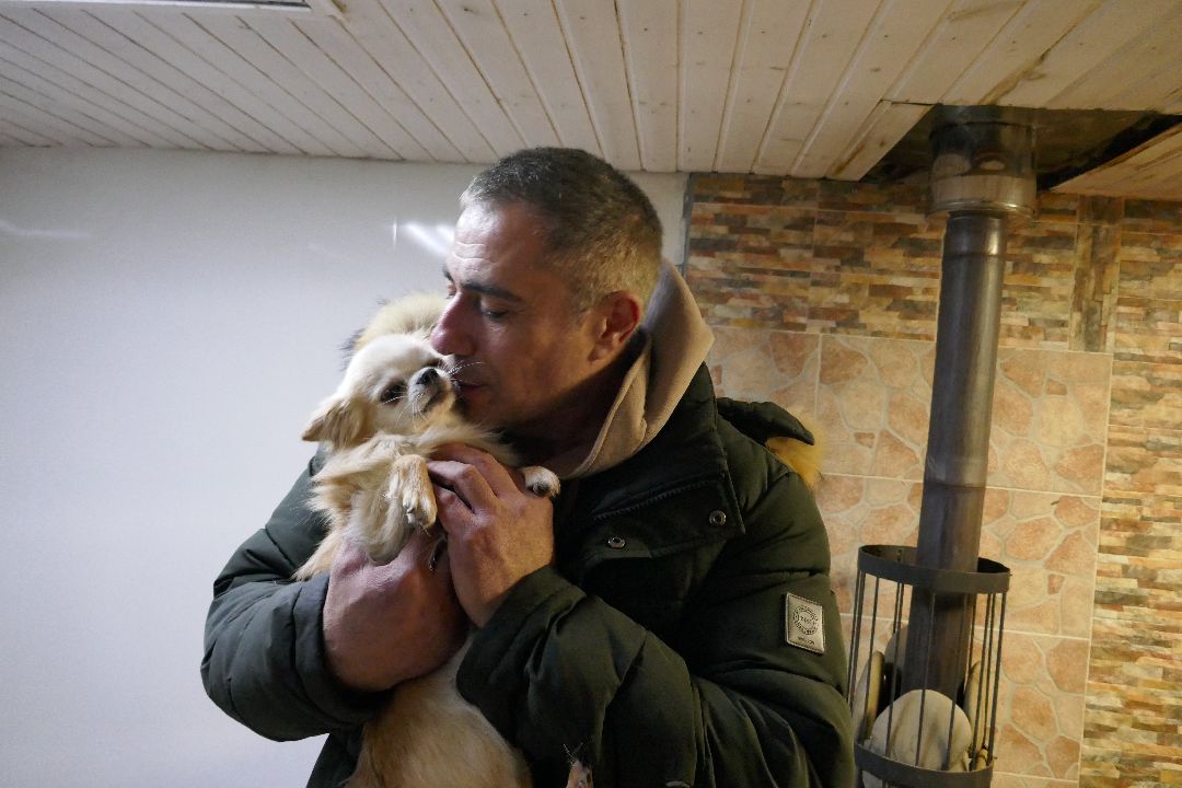 Благотворительность, Подольск, животные, помощь, добро