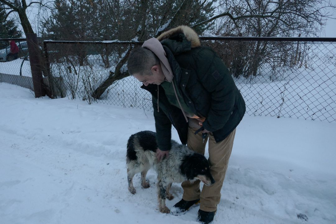 Благотворительность, Подольск, животные, помощь, добро