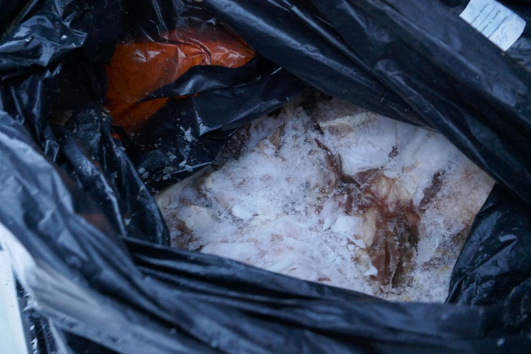 Благотворительность, Подольск, животные, помощь, добро