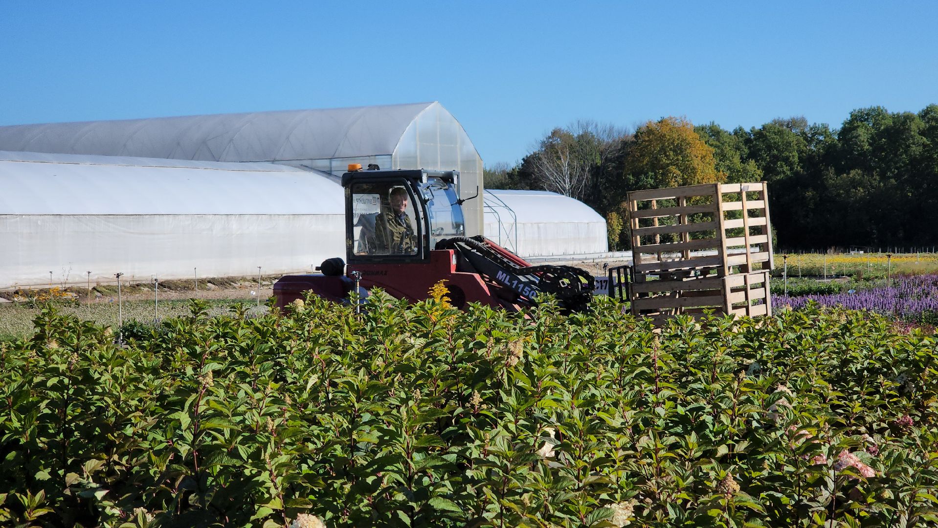 кашира, образование, движение первых, питомник растений, экология, экскурсия, дети, школа,