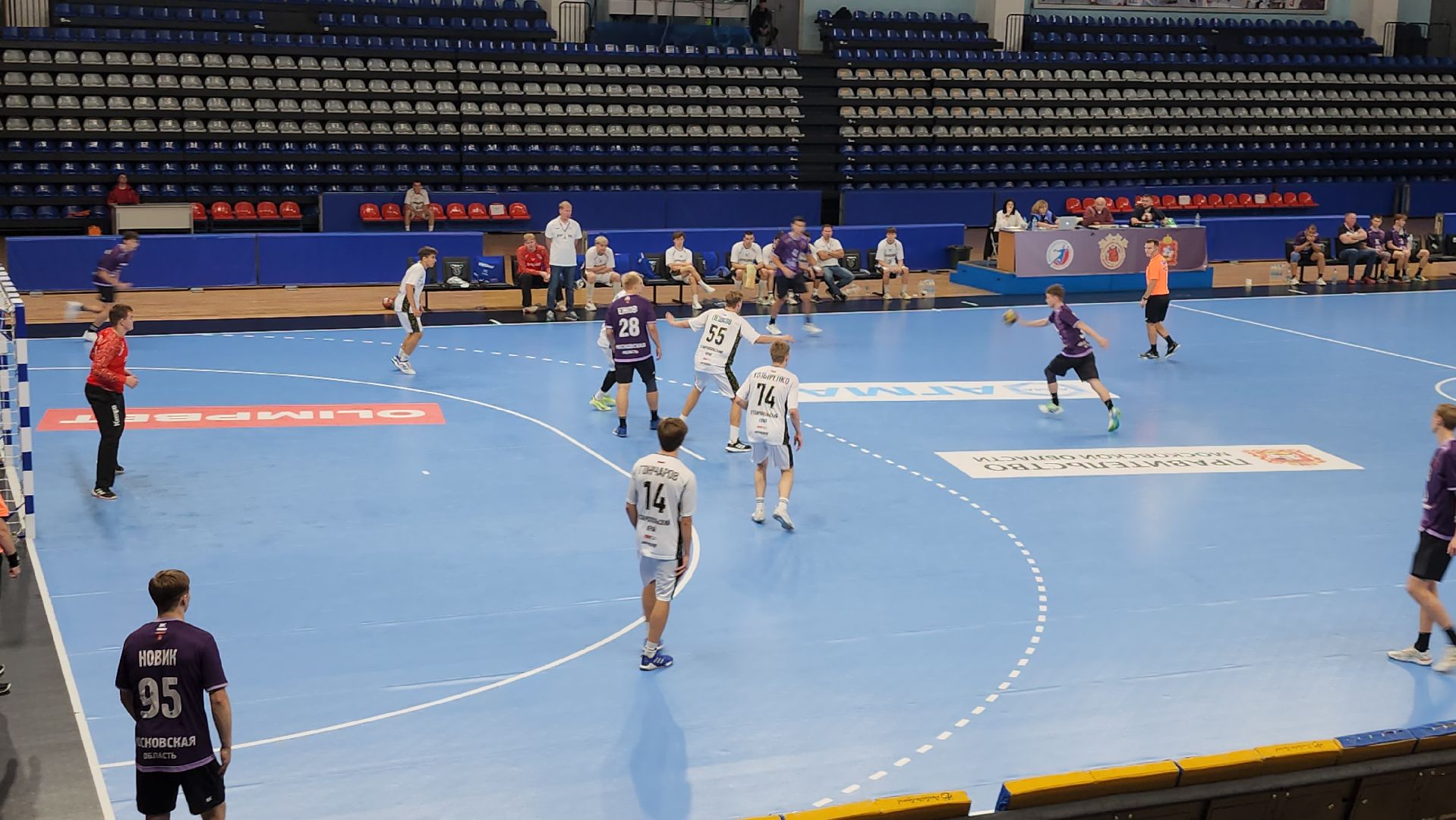 подмосковье, чехов, первенство россии по гандболу,