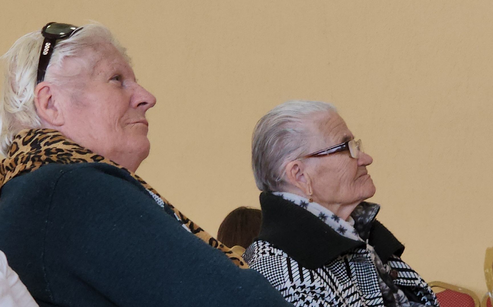 чехов, троицкое, день пожилого человека,