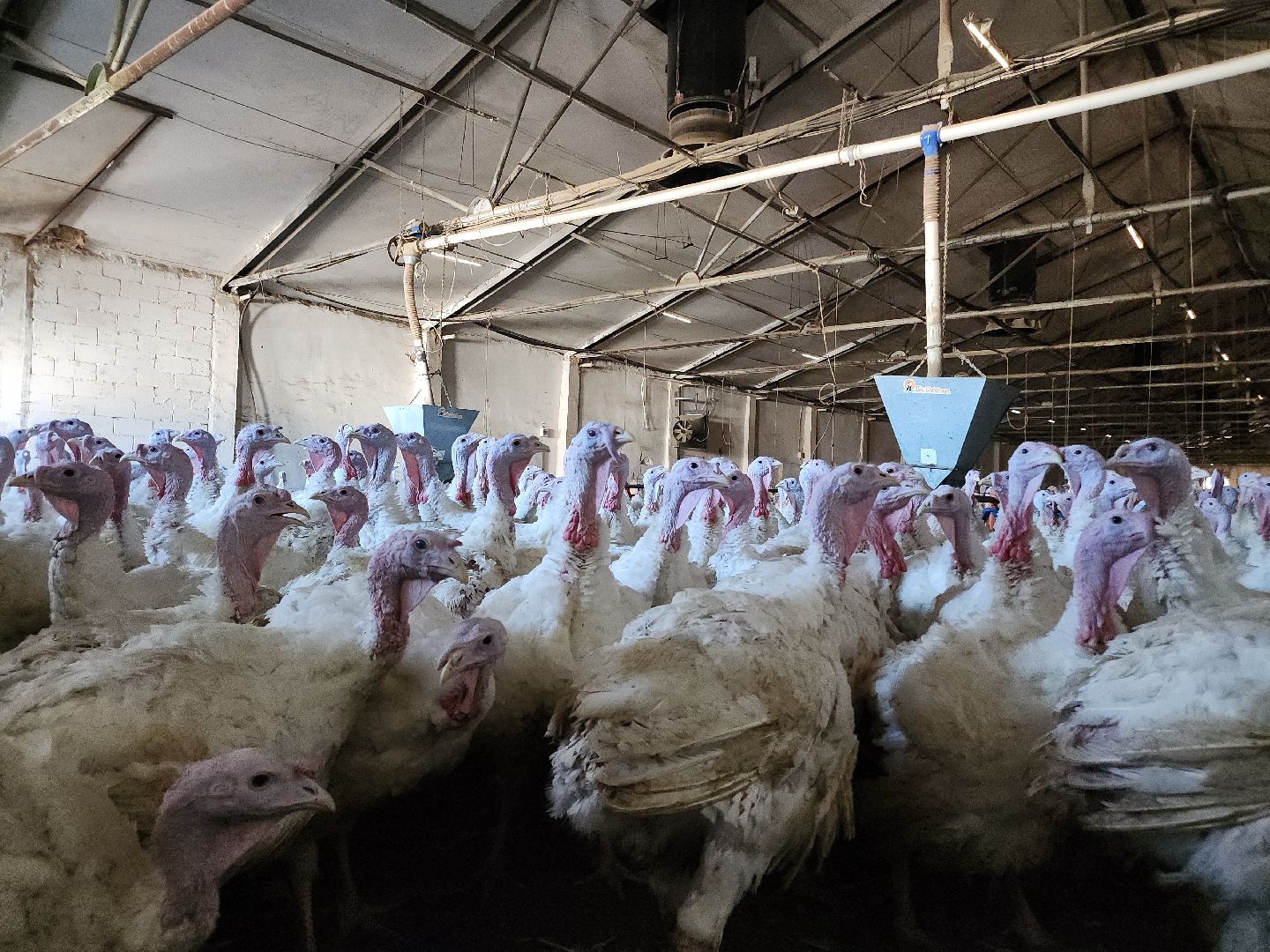 Егорьевск , Подмосковье , Московская область ,