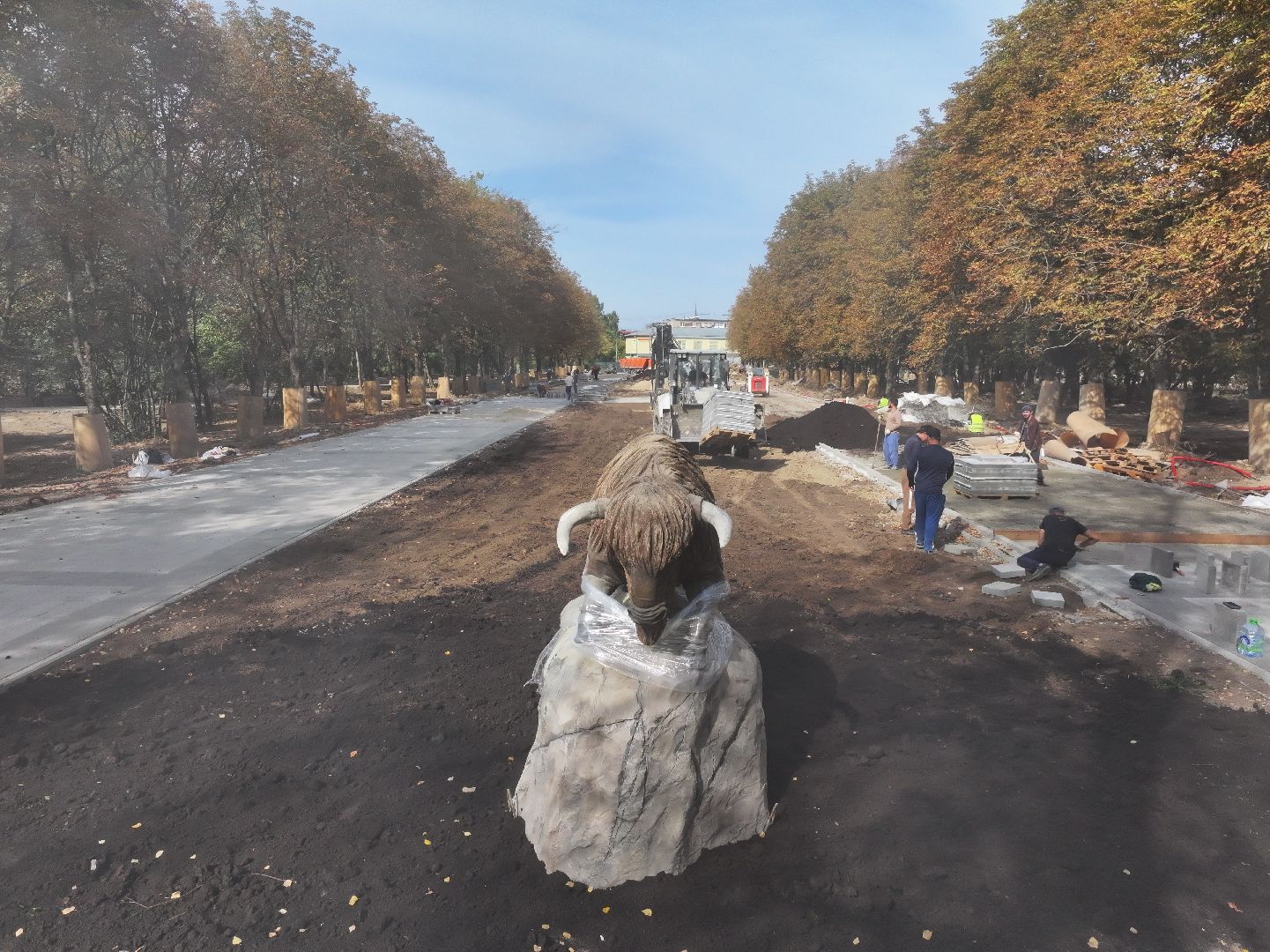 видео с коптера, парк питомник в серпухове, благоустройство в серпухове,