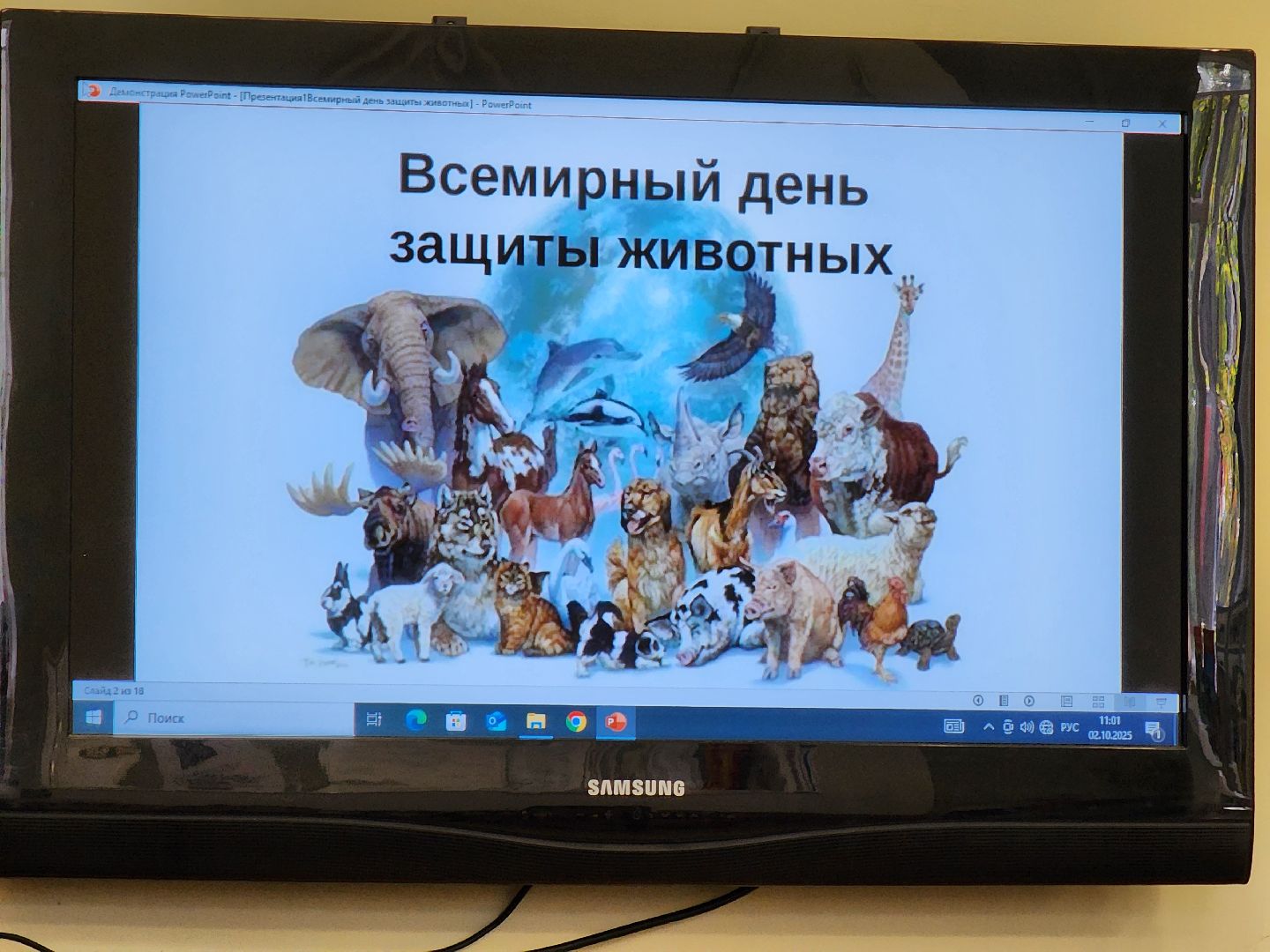 электросталь , общество, дети, библиотека, всемирный день животных, жители, игра,