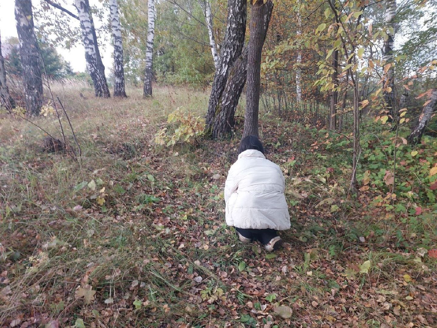 сергиев посад, сергиево-посадский городской округ, грибы в лесу, отравление грибами, ботулизм, консервирование, заготовка грибов, симптомы отравления, тихая охота,