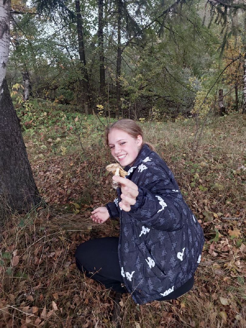 сергиев посад, сергиево-посадский городской округ, грибы в лесу, отравление грибами, ботулизм, консервирование, заготовка грибов, симптомы отравления, тихая охота,