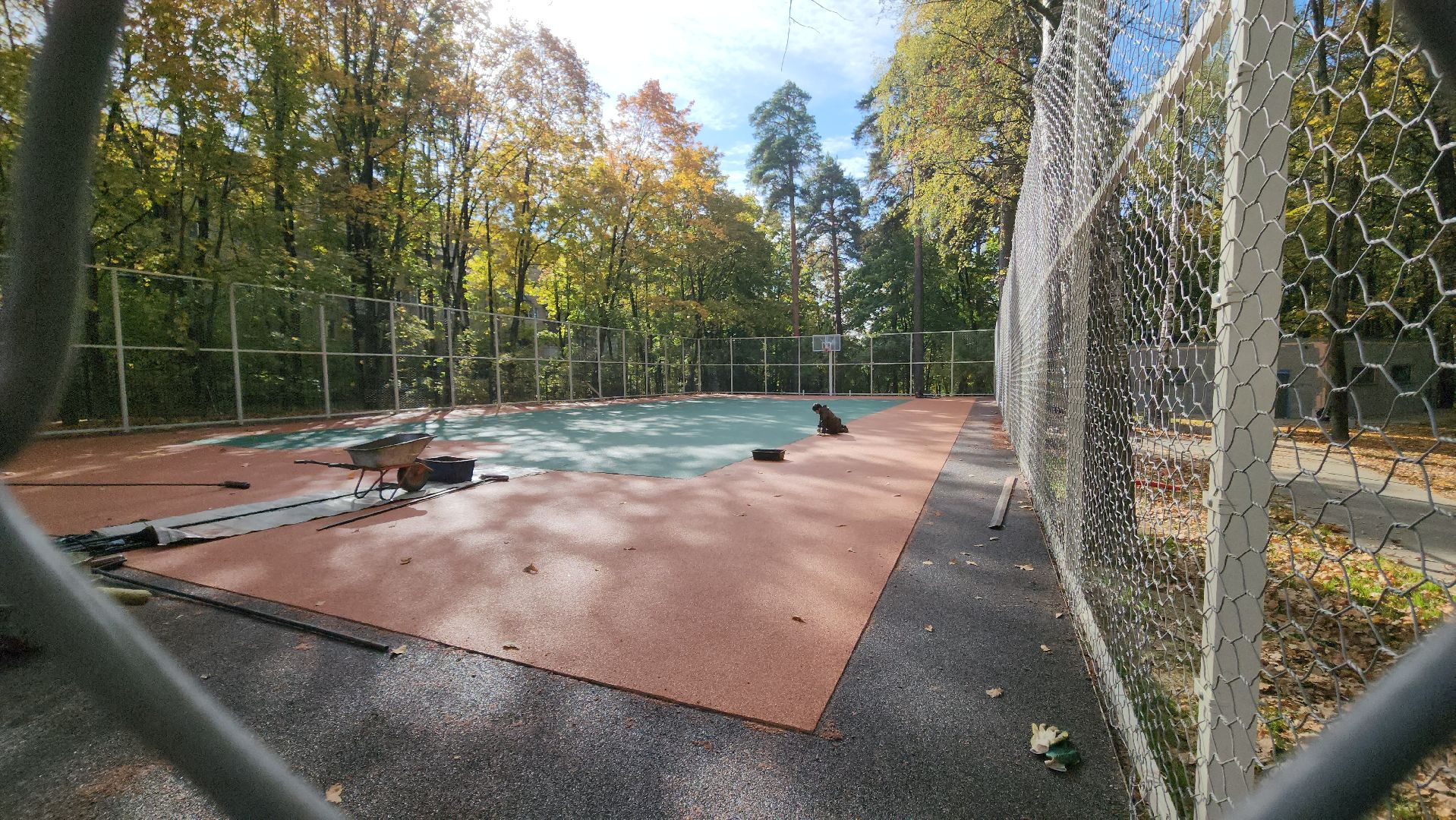 городской парк, благоустройство, освещение, пешеходные дорожки,